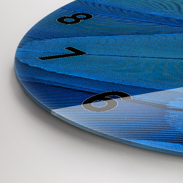 Reloj de cristal redondo Pluma de ave