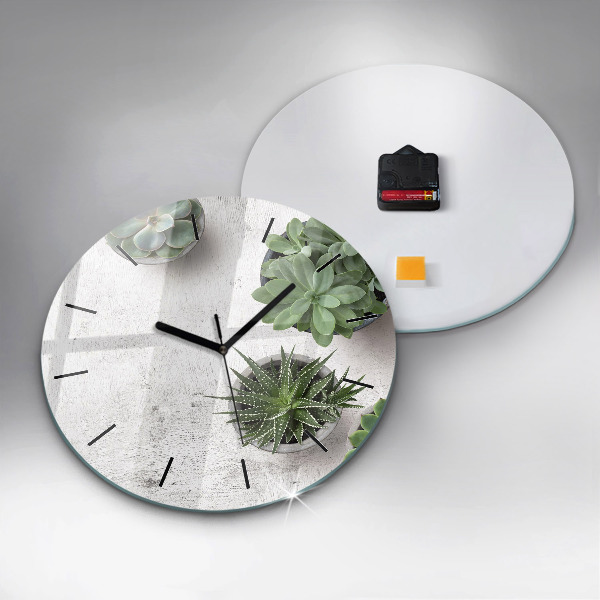 Reloj de cristal redondo Plantas decorativas