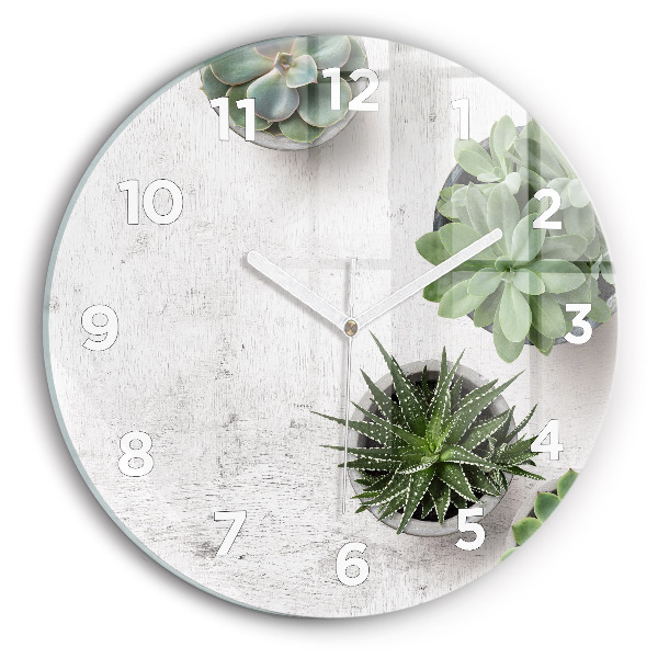 Reloj de cristal redondo Plantas decorativas