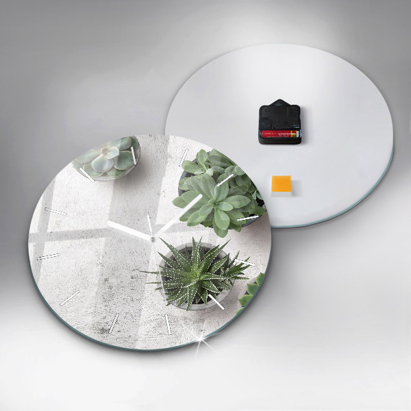 Reloj de cristal redondo Plantas decorativas